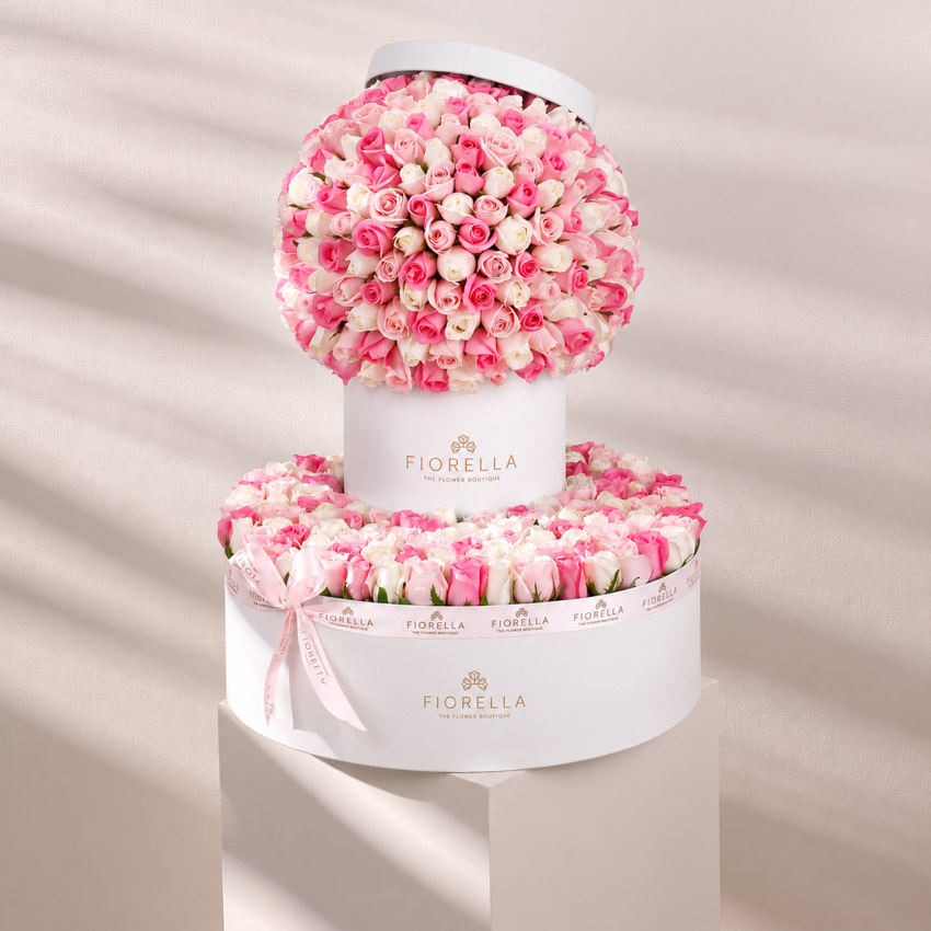 CANDY FONTANA
